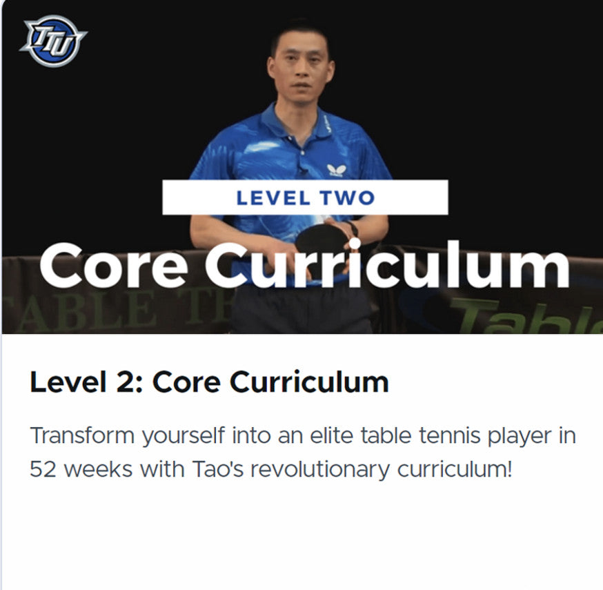 Level 2: Core Curriculum