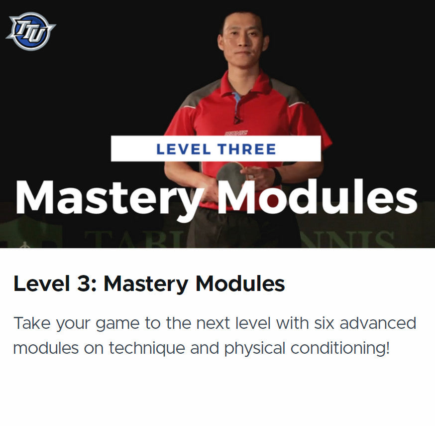 Level 3: Mastery Modules